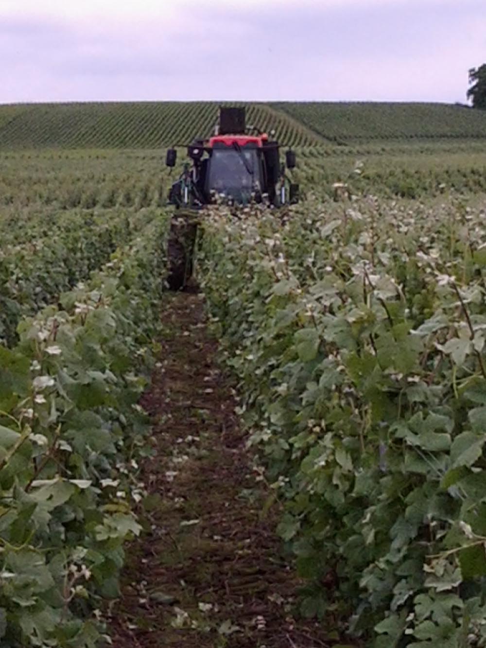 Le Vignoble Champagne Christian Naudé