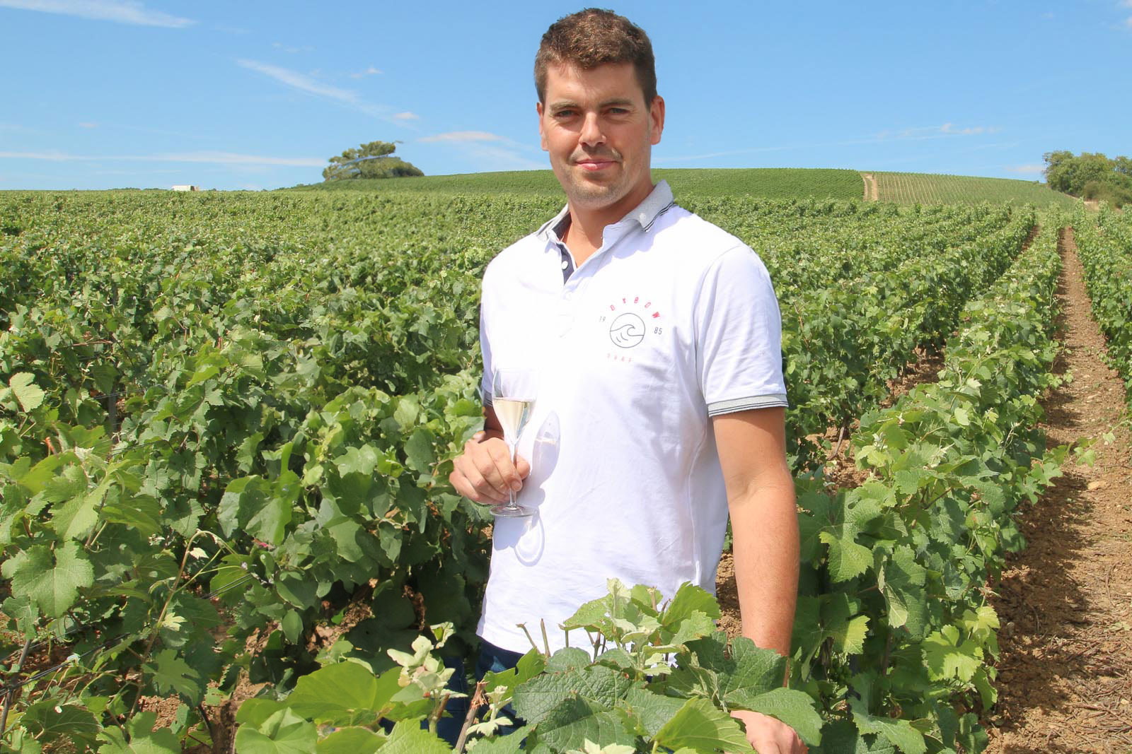 Le Vignoble Champagne Christian Naudé