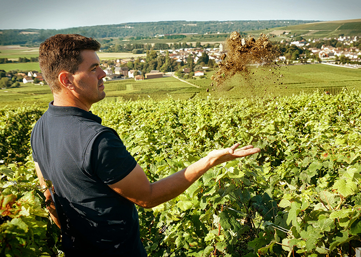 Le Vignoble Champagne Christian Naudé
